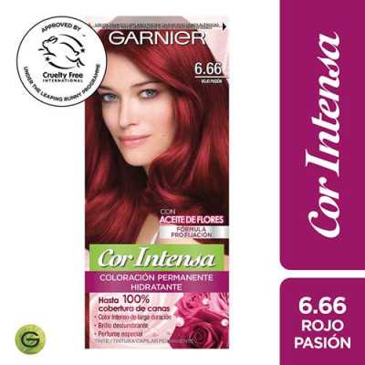 GARNIER COR INTENSA 6/66 ROJO PASION