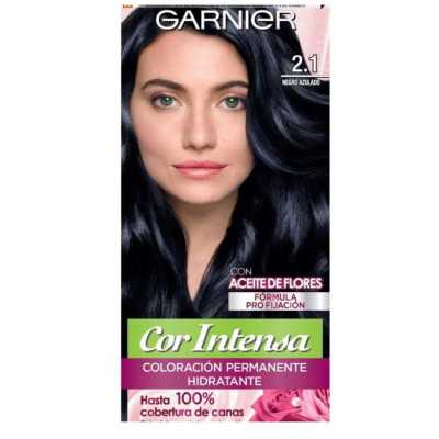GARNIER COR INTENSA 2/1 NEGRO AZULADO