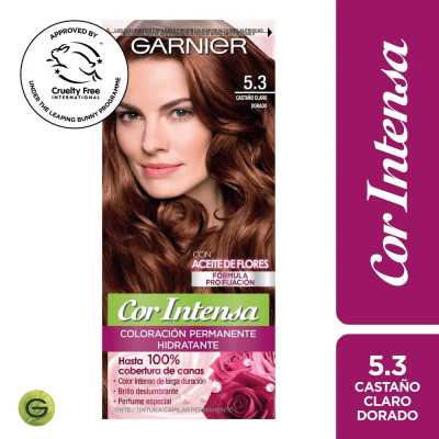 GARNIER COR INTENSA 5/3 CASTAÑO CLARO DORADO