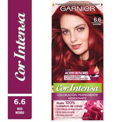 GARNIER COR INTENSA 6/6 ROJO INTENSO