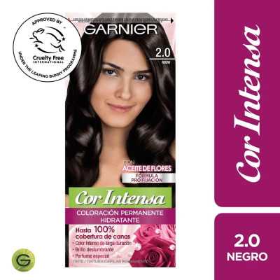 GARNIER COR INTENSA 2/0 NEGRO