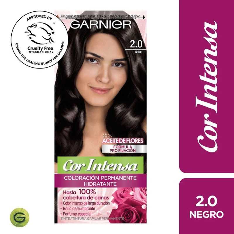 GARNIER COR INTENSA 2/0 NEGRO