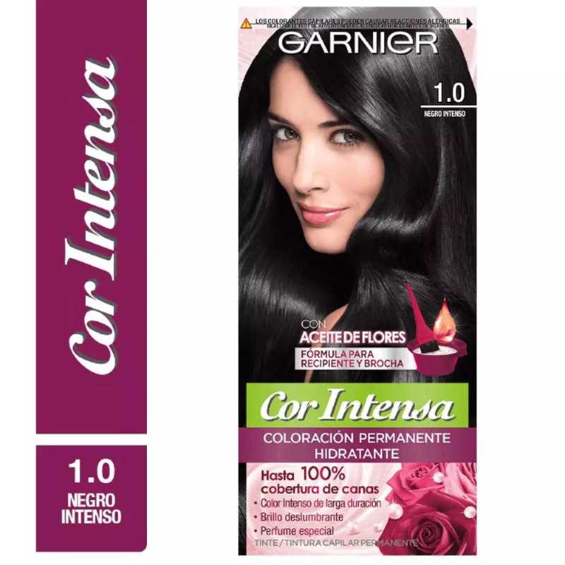 GARNIER COR INTENSA 1/0 NEGRO INTENSO