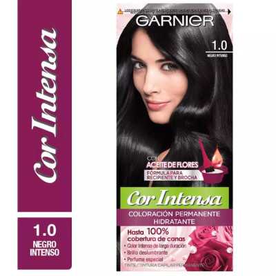 GARNIER COR INTENSA 1/0 NEGRO INTENSO