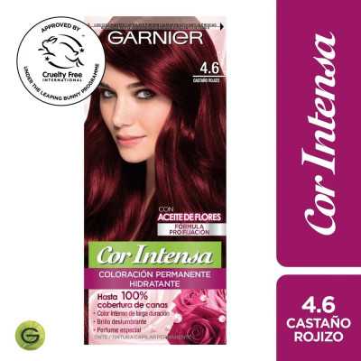 GARNIER COR INTENSA 4/6 CASTAÑO ROJIZO