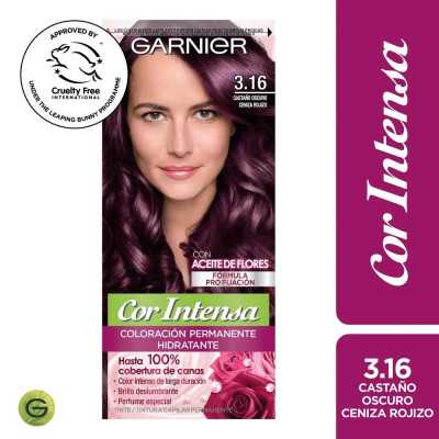 GARNIER COR INTENSA 3/16 CASTAÑO OSCURO CENIZA ROJ