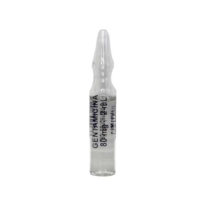 GENTAMICINA INY 80MG/2ML FRESENIUS 