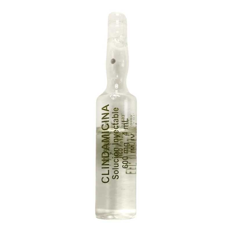 CLINDAMICINA SOL INYEC 600MG/4ML FRESENIUS 