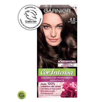 GARNIER COR INTENSA 4/0 CASTAÑO