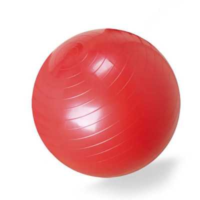 BALON DE EJERCICIO CON BOMBIN 55CM BLUNDING 