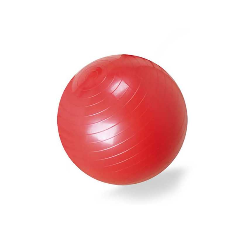 BALON DE EJERCICIO CON BOMBIN 55CM BLUNDING 