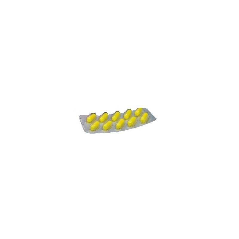 Nitrofurantoina 100mg (Mintlab)