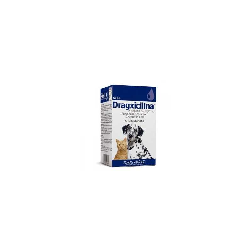 Dragxicilina Susp.Oral 250mg/5ml x60ml