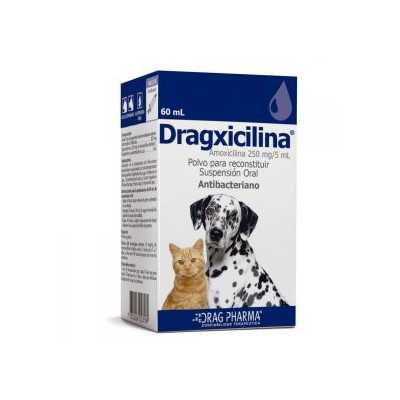 Dragxicilina Susp.Oral 250mg/5ml x60ml
