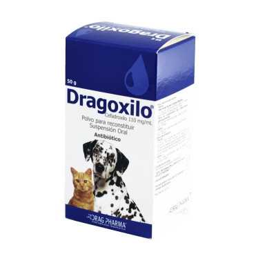 Dragoxilo 110mg/ml polvo para suspensión oral 100ml
