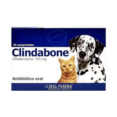 Clindabone 165mg x20com