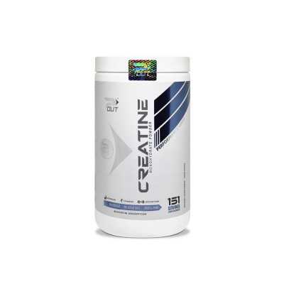 Creatina Monohidrato 453g (P-Out)