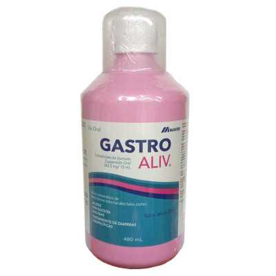 GASTROALIV SUSPENSION ORAL 480ML